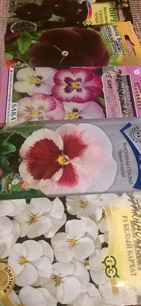 tässä mun värisuora